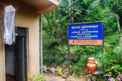 DSCN6235