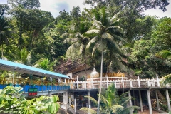 DSCN5783