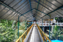 DSCN5785