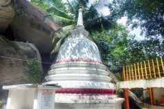 DSCN5793