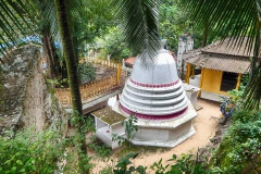 DSCN5801