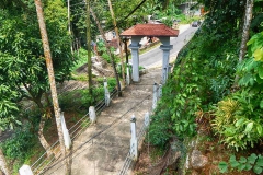 DSCN5807