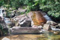 DSCN5669