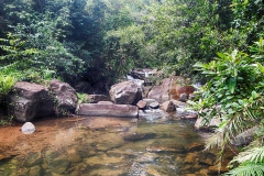 DSCN5672