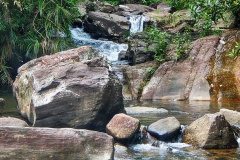 DSCN5676