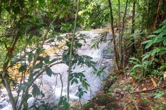DSCN5677