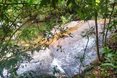 DSCN5679