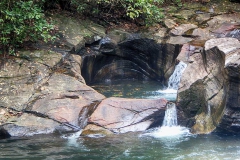 DSCN5685