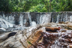 DSCN5697