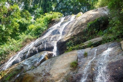 DSCN6173