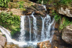 DSCN6185