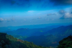 DSCN5959