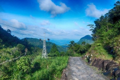 DSCN5970