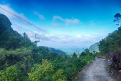 DSCN5981